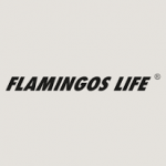 Flamingos Life